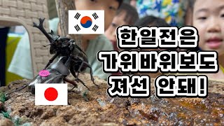 (국가대항전) 장수풍뎅이 최강자를 가려라! IOS 7