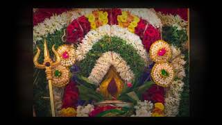 Sri Satha Chandi Mahayagam @ Sri Vadapathirakali Amman Temple