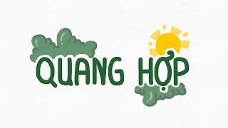 QUANG HỢP là gì? Tại sao lại nói quang hợp quan trọng? | Khám Phá Sinh Học