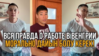 КАЗАХИ В ВЕНГРИИ | работа в Венгрии для казахстанцев | Динмухамед и Алмаз