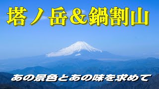 【日帰り登山】丹沢で人気の塔ノ岳と鍋割山♪景色と鍋焼きうどんを堪能