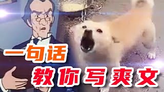 一句话教你写爽文！【盖世猪猪丶】