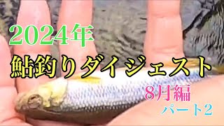 【鮎釣り】2024年鮎釣りを振り返る　8月編パート2