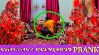 🛑PRANK Bahar Qanawe  dhalaa waalin oso  jiru jaartiin ittii dhuftee