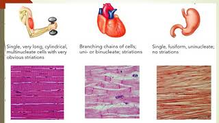 Std IX Science Introduction to Tissues Part   I