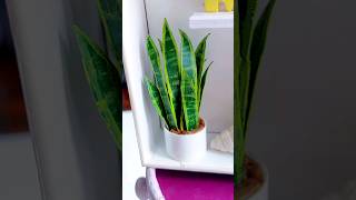 Ep: 5/10 छोटी सी कलाकारी | Snake Plant Miniature #diy #craft #miniature #art