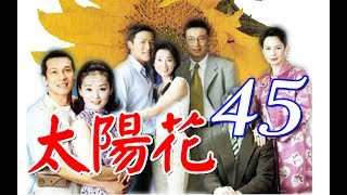 中視花系列『太陽花』EP45 (1998年)