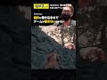 【わいわい】sekiroで道に迷ってしまい発作を起こすわいわい【切り抜き動画 u0026まとめ】 shorts