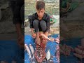 amazing nice olive barb fish cutting skill youtube fishcutting shortsvideo 2023