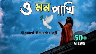 O Mon Pakhi Lofi (Slowed+Reverb) 💓ও মন পাখি 💞 Mon Je Kore Uru Uro.