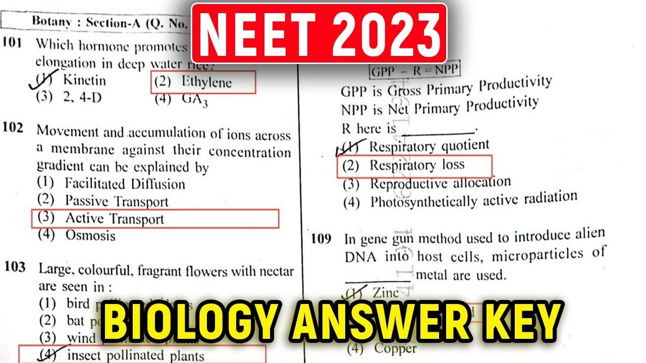 Neet 2023 Biology Question Paper With Answer Key Errorless Youtube