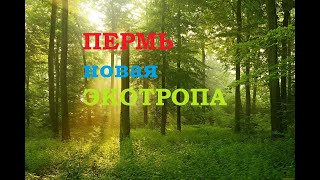 Новая экотропа в Перми. Ходим, гуляем, смотрим где можно отдохнуть с детьми, покормить белок.