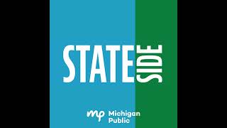 The status of gender-affirming care in MI