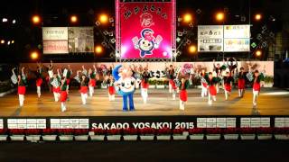 坂戸市役所連　in　坂戸よさこい 2015