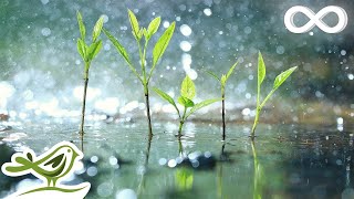 Relaxing Piano Music & Soft Rain Sounds • Background Sleep Music | Raindrops (Extended)