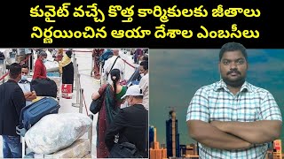 కువైట్ వచ్చే కొత్త కార్మికులకు జీతాలు || Kuwait Embassies Announce Salaries || Sukanyatv Telugu