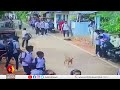 കാസർഗോഡും കൊല്ലത്തും തെരുവുനായ ആക്രമണം stray dog attack kasaragod kollam