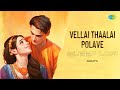 Vellai Thaalai Polave - Sleep Lofi | Dumm Dumm Dumm | Karthik Raja | Hariharan | Ooratti