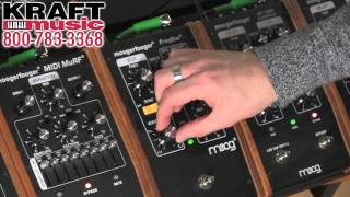 Kraft Music - Moog Moogerfooger MF-107 FreqBox Demo with Jake Widgeon