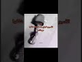 مشاهد ليست لاصحاب القلوب الضعيفة.. shorts