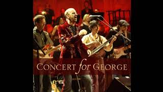 Eric Clapton/Paul McCartney /Ringo Starr - While My Guitar Gently Weeps (Concert For George/Audio)