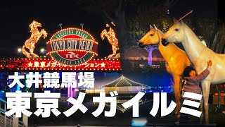 東京メガイルミネーションin大井競馬場【2024年11月】