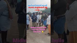 #మర్రిమాకుల పల్లె గ్రామంలో యంగ్ అండ్ డైనమిక్ యాంకర్ గంగారు చంద్రమోహన్ రెడ్డి గారు #midhunOngolebulls