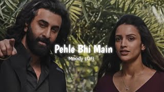 Pehle Bhi Main - Marham [ Slowed + Reverb ] | Vishal Mishra | Animal | Moody LOFI