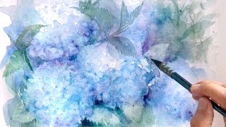 青い紫陽花を描く/透明水彩/watercolor painting of flowers /制作過程