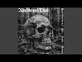 Ashes Forever Falling