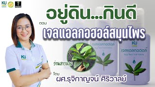 อยู่ดินกินดี | วีธีทำเจลแอลกอฮอล์สมุนไพร