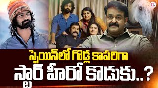 Actor Mohanlal's Son Pranav  is Working On a Farm in Spain ? | Telugu News | #sumantvnow