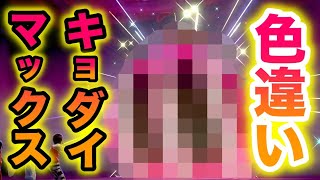 【期間限定】あのキョダイマックス色違いの〇〇が確率アップ！また奇跡が起こりました！！！！【冠の雪原/ポケモン剣盾有料DLC】