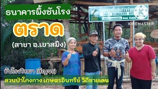 ธนาคารผึ้งชันโรง จ.ตราด ชันโรงวิทยา(สัญจร) by สวนป่าโกงกางฯ