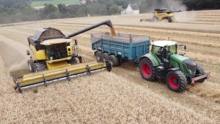 😎Une saison de moisson chez Eta Le Paven💨/Cr 10.90 \u0026 Maupu 3 essieux 😍