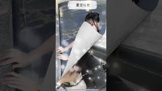 ▲▼女優紹介「夏空りか」 #shorts