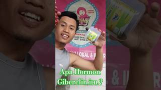 MANFAAT HORMON GIBERRELIN UNTUK ANGGUR #youtubeshorts #shorts #grosir