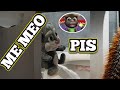 TALKING TOM REAL MEMES #2 ANIMACIONES