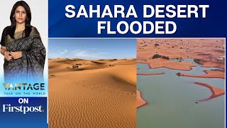 First Floods in Sahara Desert in Almost Half a Century | Vantage with Palki Sharma