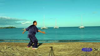 Zheng wenpei Chen style taijiquan morning exercise clip on Hawaii, USA （郑文沛陈式太极拳美国夏威夷晨练剪辑2）