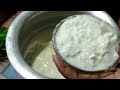 odia dahi how to make curd dahi at home in village style dahi curdrice @odishavillagefood