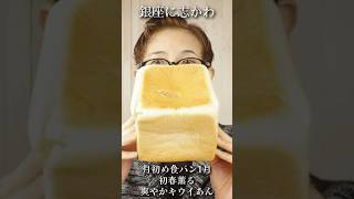 【大食い】【銀座に志かわ】2025年１月　月初め食パン！初春薫る 爽やかキウイあん