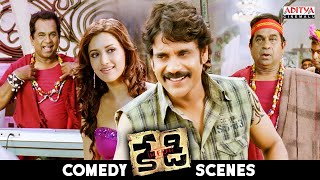 Kedi Telugu Movie Ultimate Comedy Scenes | Nagarjuna | Mamta Mohan Das | Aditya Cinemalu