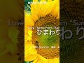 i girasoli ひまわり love theme from