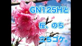 GN125H で沖縄の桜祭りに行ったらまさかの立ちゴケ【GN125H/モトブログ】