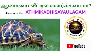 ஆமையை வீட்டில் வளர்க்கலாமா? - Athmikadhisayaulagam | Dr.A.GNANAGURU |