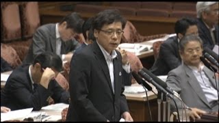 「憲法を逸脱・無効」参院安保特参考人質疑