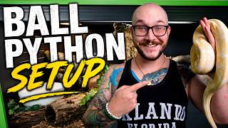 Complete Ball Python Enclosure Setup Guide 2026