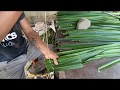 Cara Menganyam Daun Nipah Menjadi Atap (How to make a roof from palm leaves)