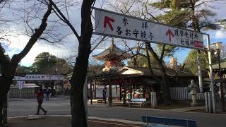 23-12-2016 川越大师喜多院 Kitain Temple 之三